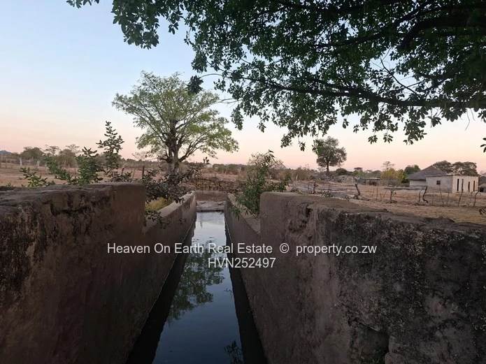 Beautiful plot for sale with a plunge dip
