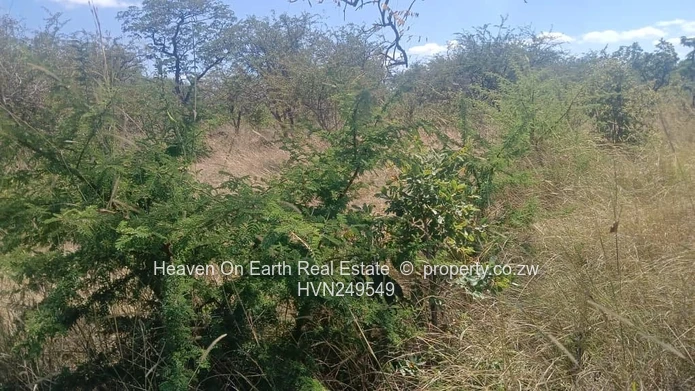 Plots for sale