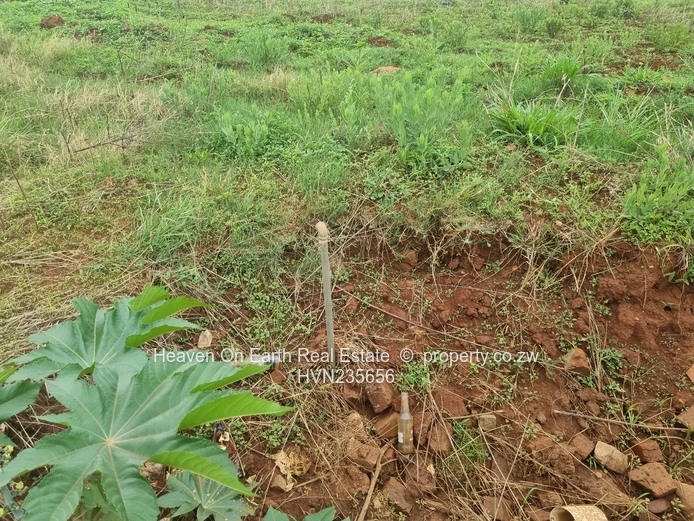 Beautiful stands for sale 