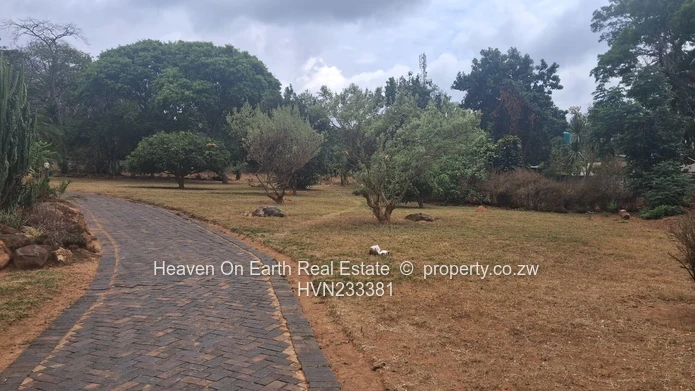 Subdivision Stand For Sale