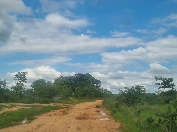 Farm & Agricultural Land