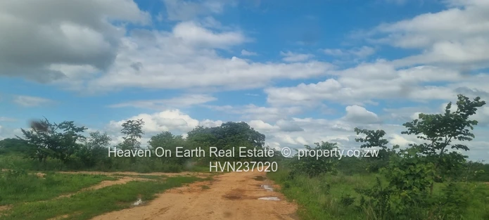 Attention Farmers!! Farm Now Reduced To Sale