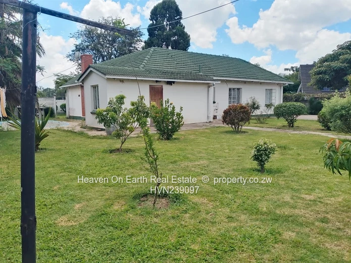 Exceptional Investment