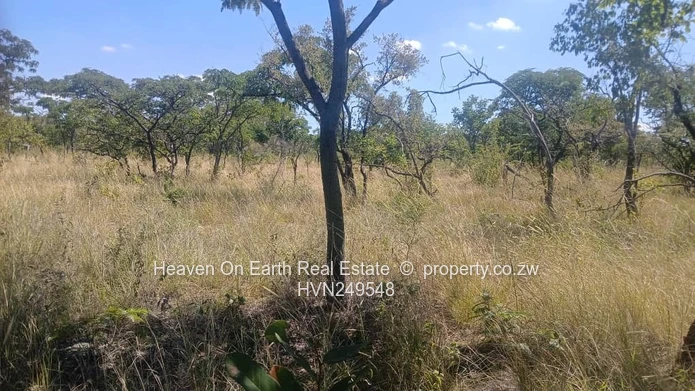 Farm for sale