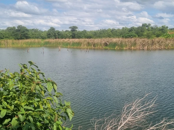 Farm & Agricultural Land