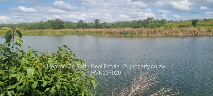 Attention Farmers!! Farm Now Reduced To Sale