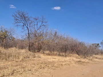 Farm & Agricultural Land