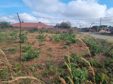 Stands & Residential Land