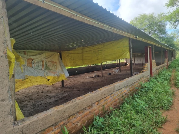 Farm & Agricultural Land