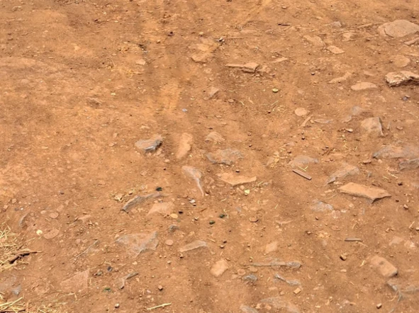 Shop & Retail Property