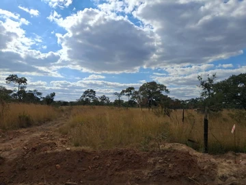 Farm & Agricultural Land