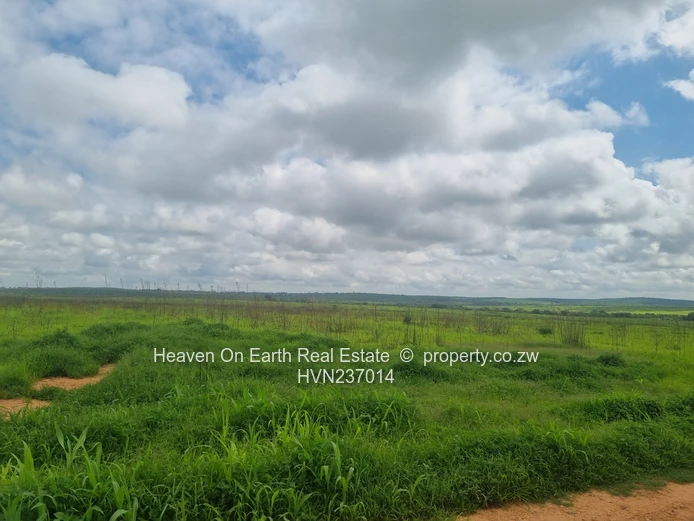 Green Gold For You Farmers!!