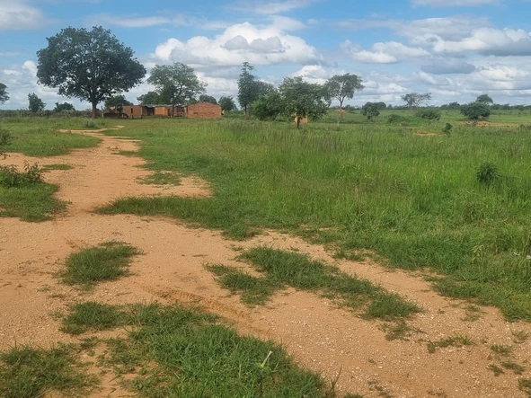 Farm & Agricultural Land