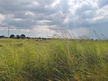 Commercial & Industrial Land