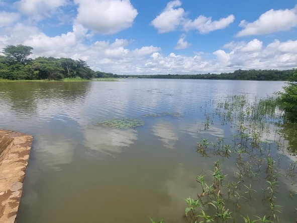 Farm & Agricultural Land