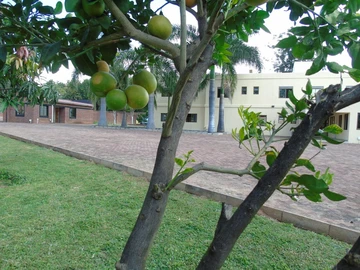 3 Bedroom Townhouse Complex