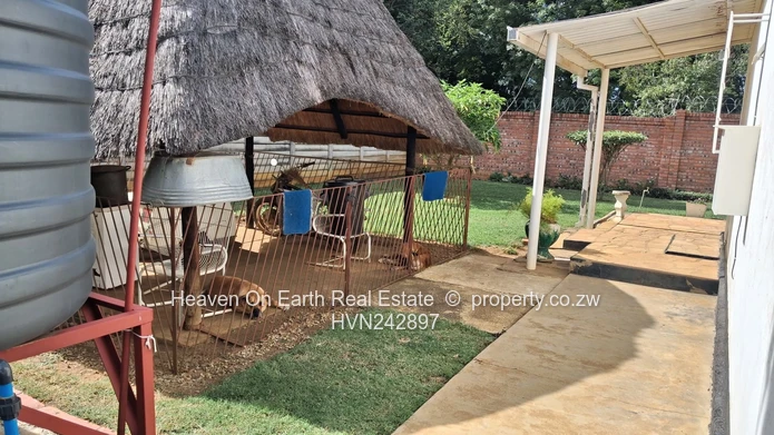 Beautiful 3 beds house