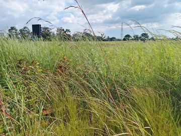 Commercial & Industrial Land