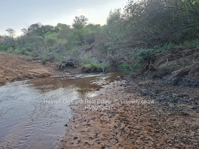 Beautiful plot for sale with a plunge dip