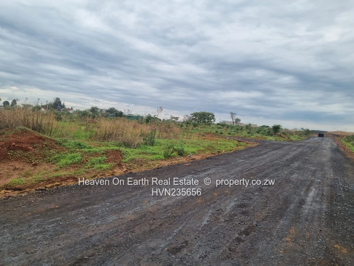 Beautiful stands for sale 