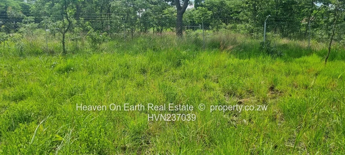 A Rare Opportunity To Own A Stand