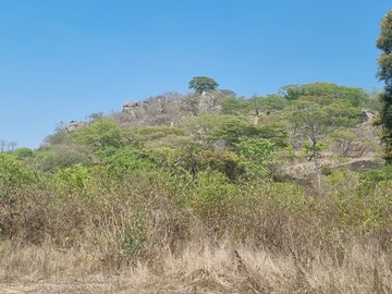 Farm & Agricultural Land