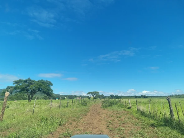 Farm & Agricultural Land