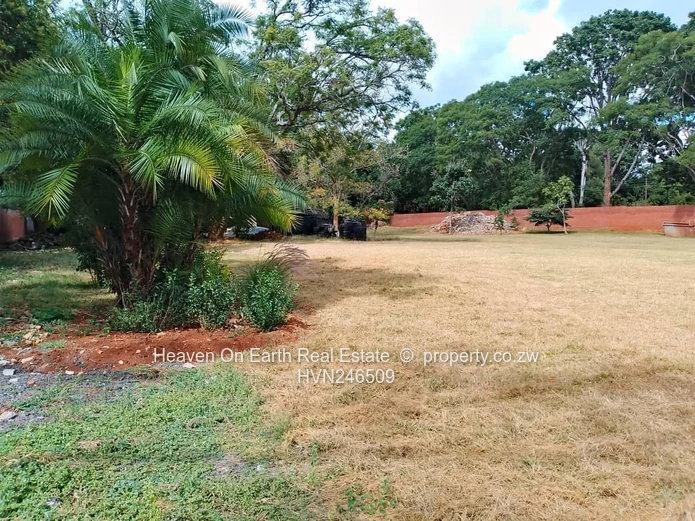 Plenty of yardspace 