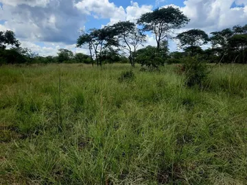 Farms for sale
