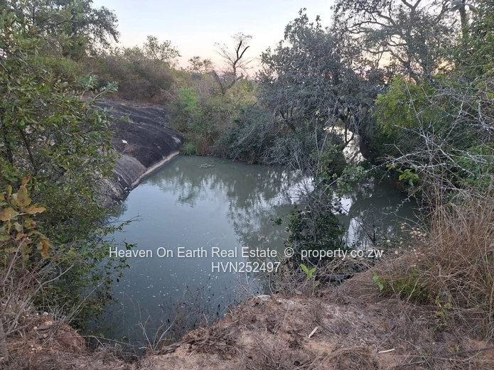 Beautiful plot for sale with a plunge dip