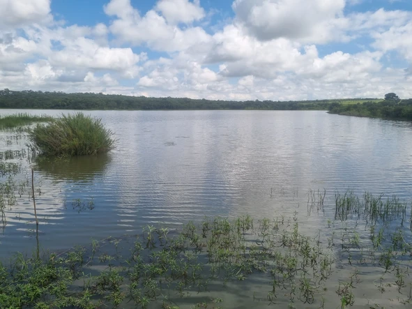 Farm & Agricultural Land