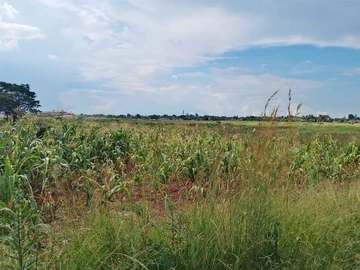 Commercial & Industrial Land