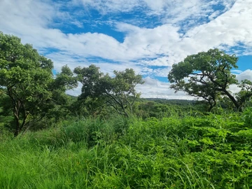 Farm & Agricultural Land
