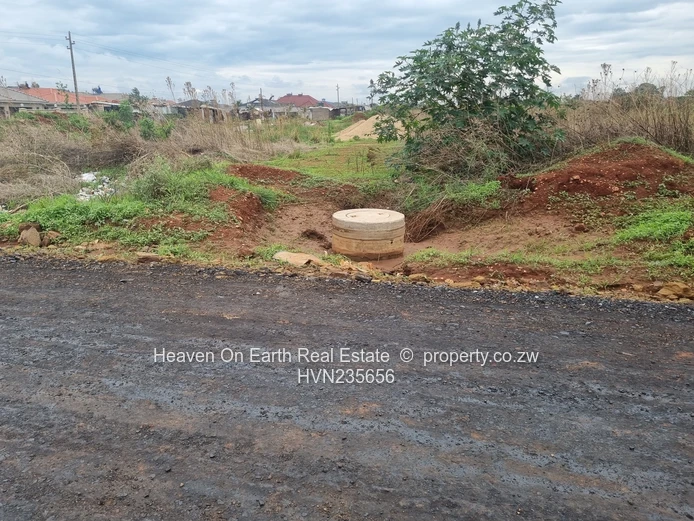 Beautiful stands for sale 