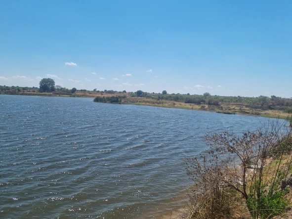 Farm & Agricultural Land