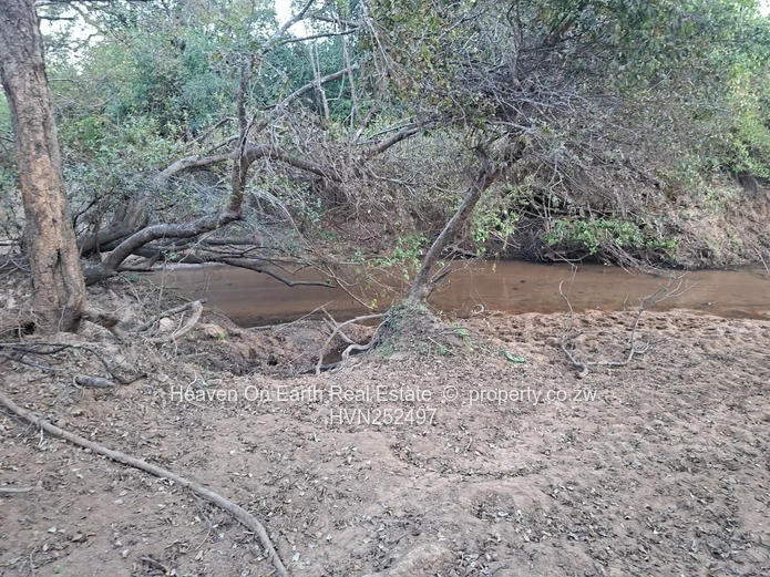 Beautiful plot for sale with a plunge dip