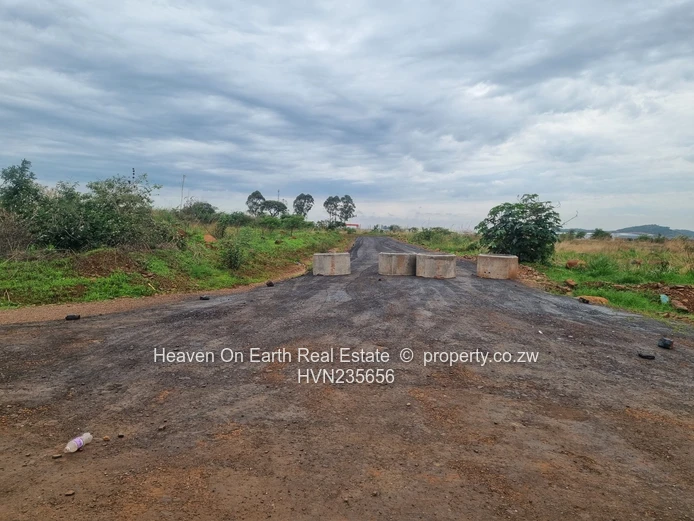 Beautiful stands for sale 