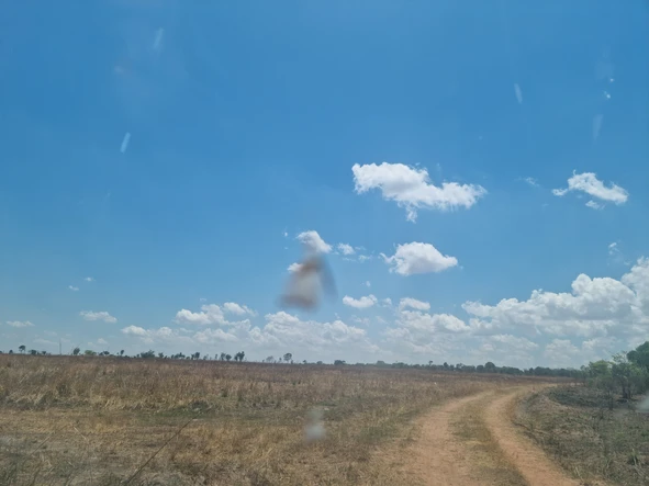 Farm & Agricultural Land