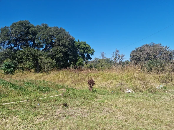 Commercial & Industrial Land