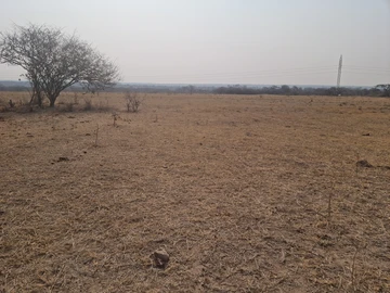 Farm & Agricultural Land