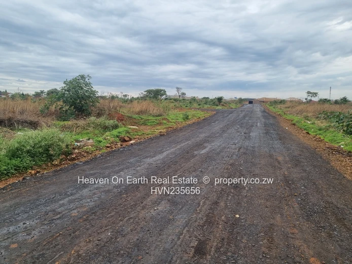 Beautiful stands for sale 