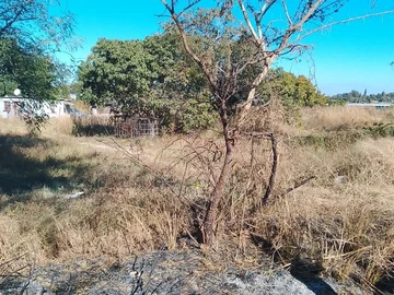 Commercial & Industrial Land