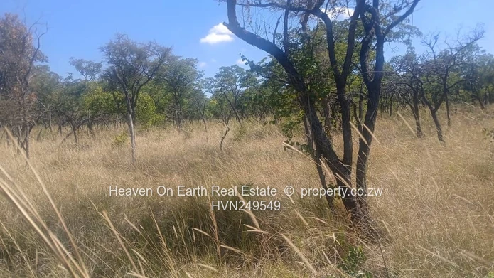 Plots for sale