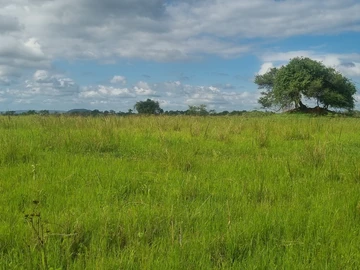 Farm & Agricultural Land
