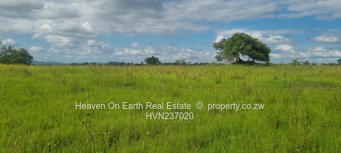 Attention Farmers!! Farm Now Reduced To Sale