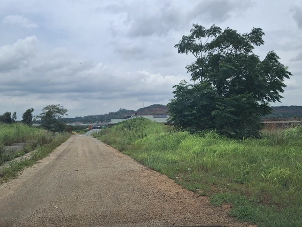 Stands & Residential Land