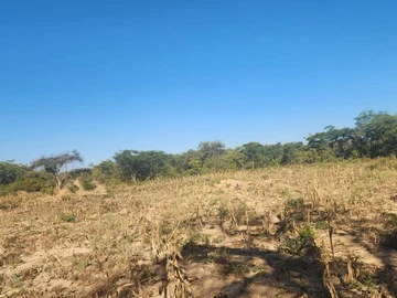 Farm & Agricultural Land