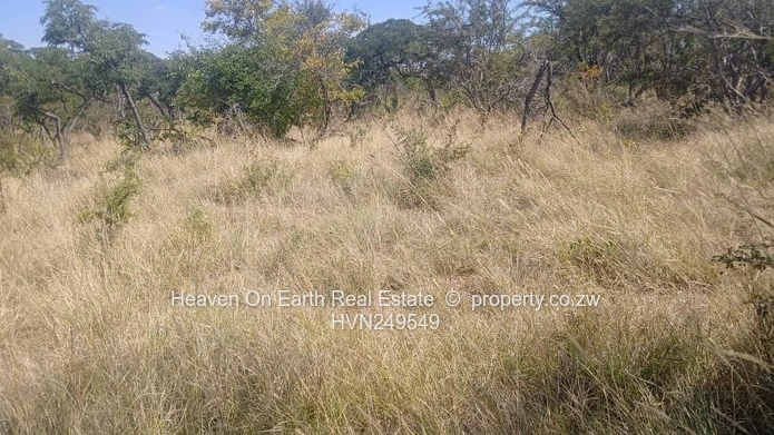 Plots for sale