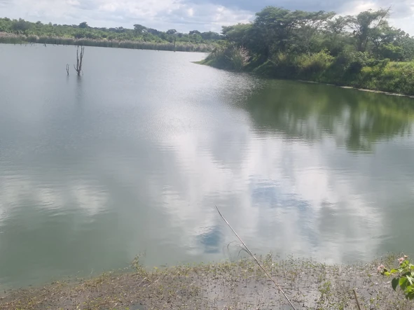 Farm & Agricultural Land