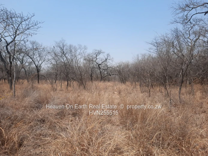 Plots For Sale
